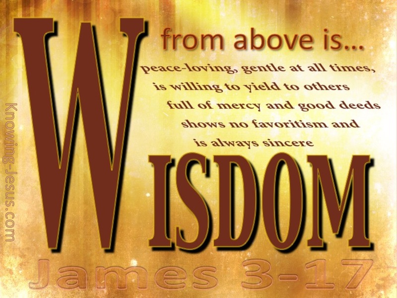 James 3:17 Wisdom From Above (brown)